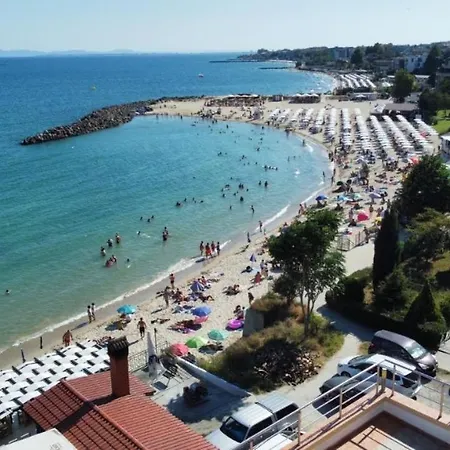 Elizabeth * 네세부르